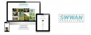 Website Design Case Study
