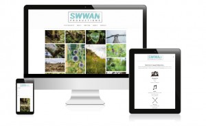 Website Design Case Study